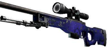 AWP Skin Well Worn