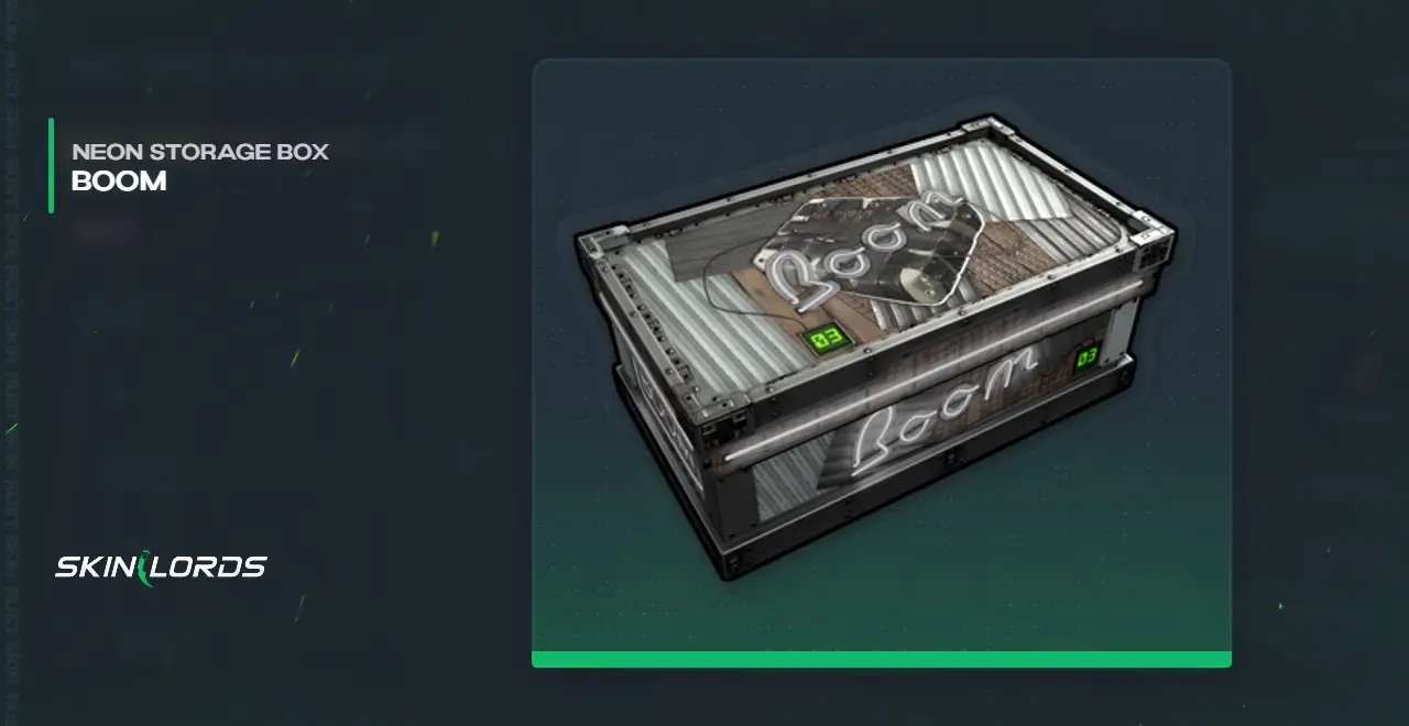 Neon Boom Storage Box