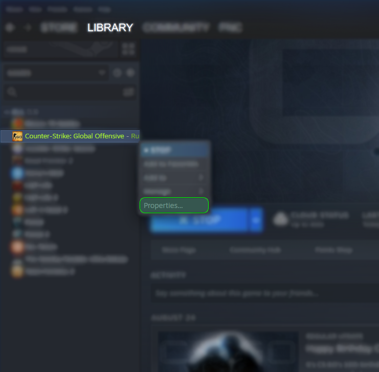 Counter-Strike: Global Offensive Game Properties
