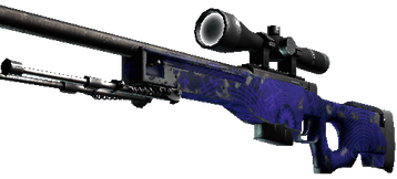 AWP Skin Well Worn