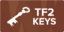 TF2 Keys logotyp