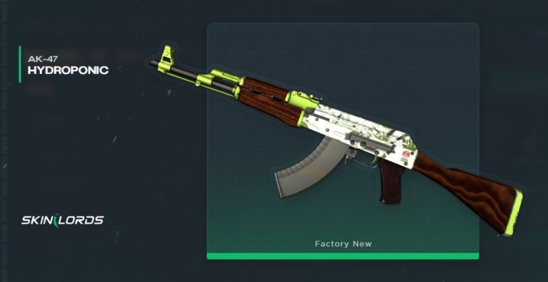 Top 5 Most Expensive AK-47 Skins In CSGO - SkinLords