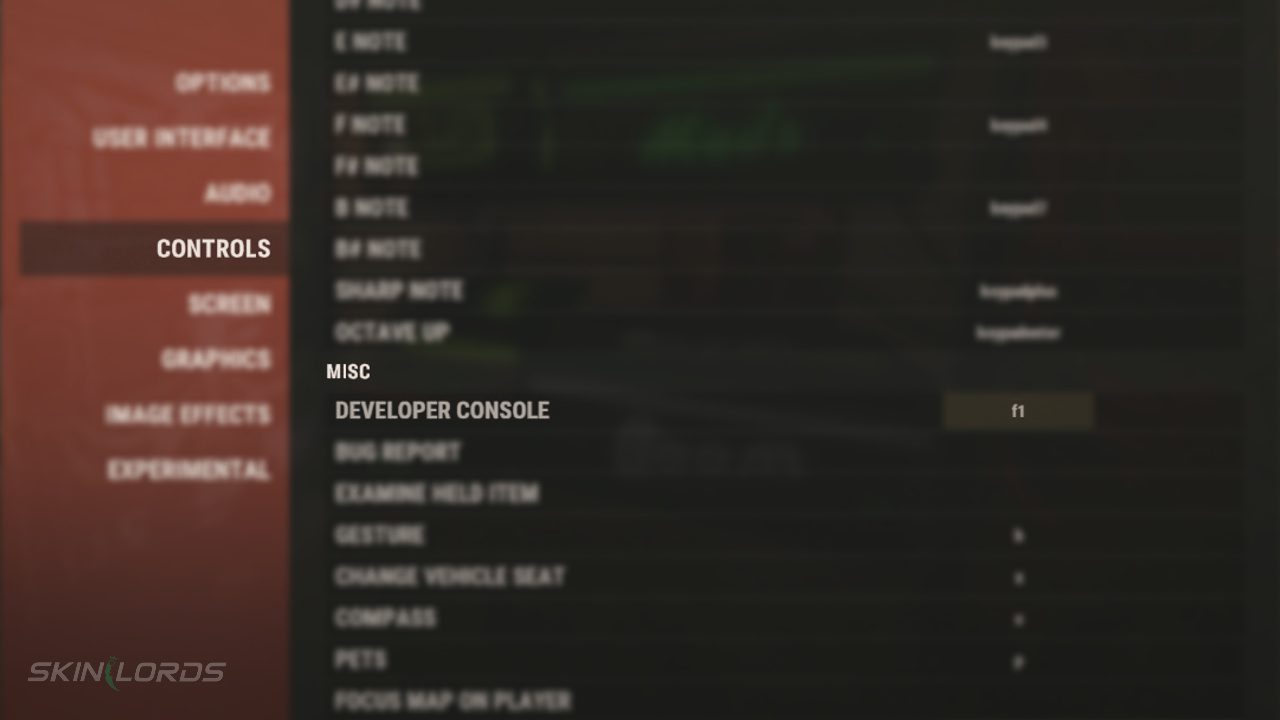 Rust Menu ustawień konsoli programisty