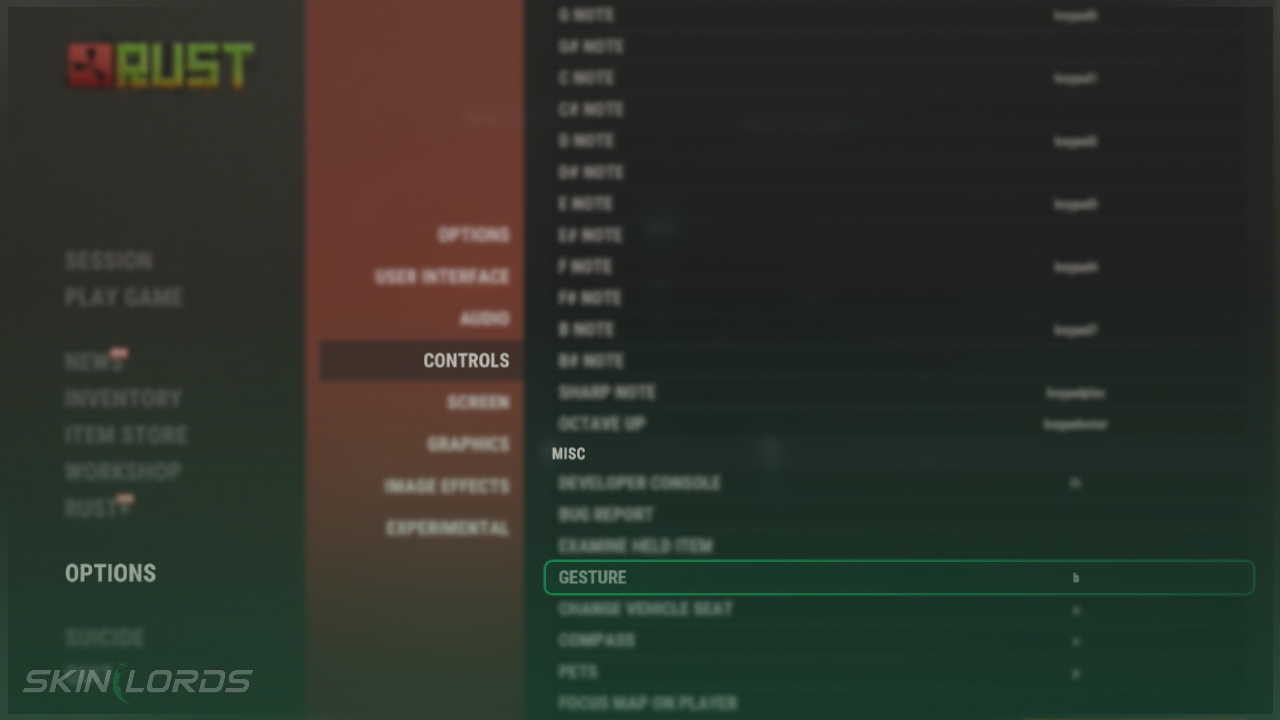 Gesture Key Rust Setting