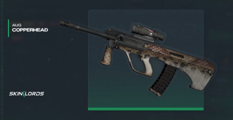 Top 5 Most Expensive AUG Skins in CS2 - SkinLords