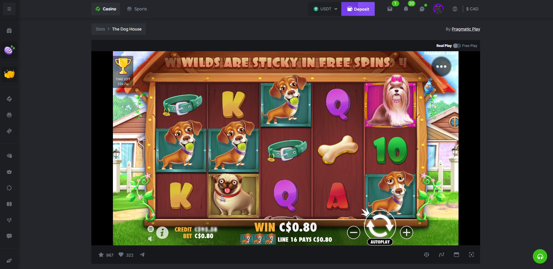 BCGame The Dog House Slots