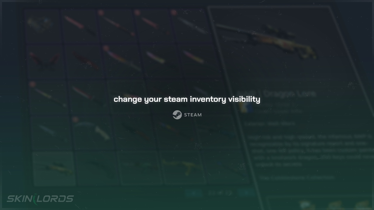 How to Change Your Steam Inventory Visibility SkinLords