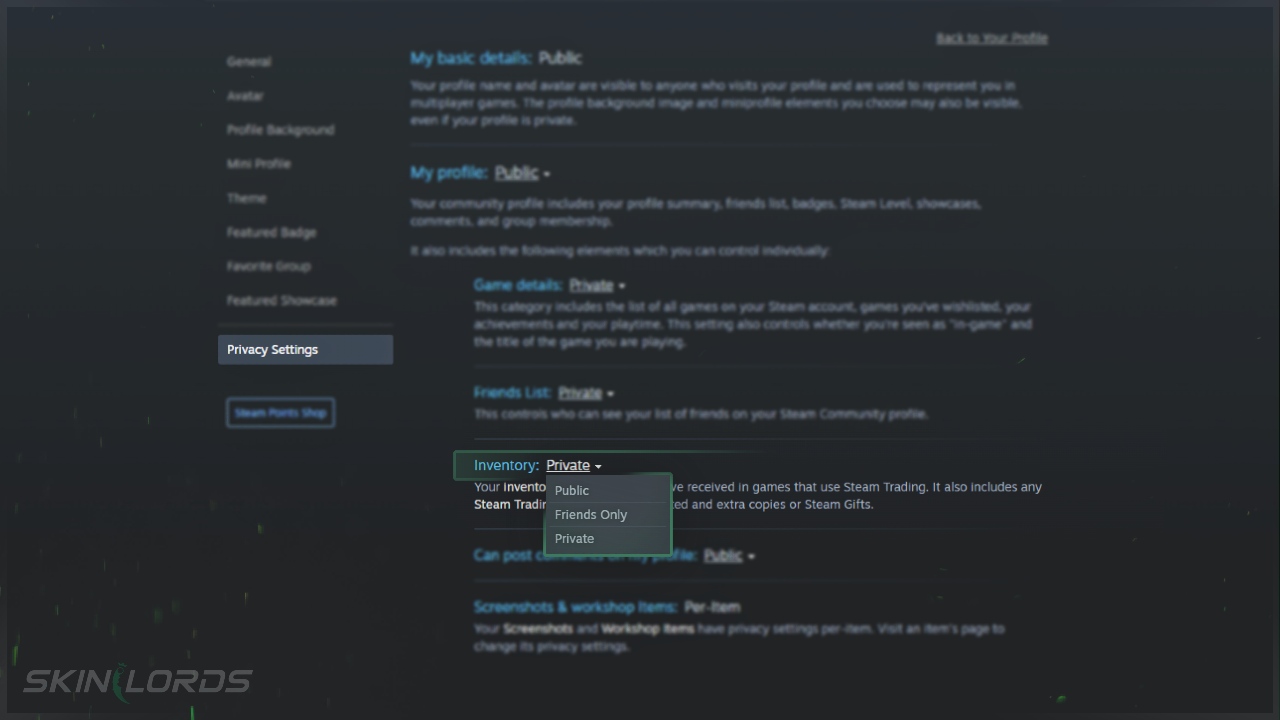 Steam Inventory Privacy Setting