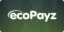 Ikona płatności EcoPayz