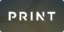 Print Studios - Gaming Provider