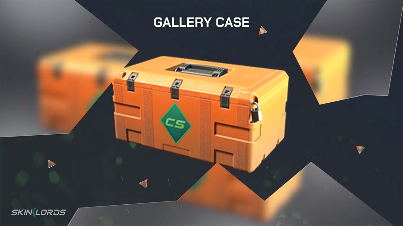 cs2 gallery case
