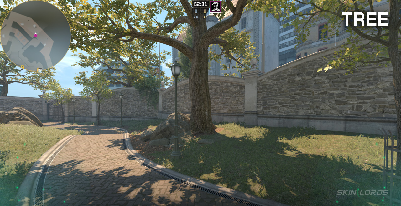 tree overpass cs2 callout