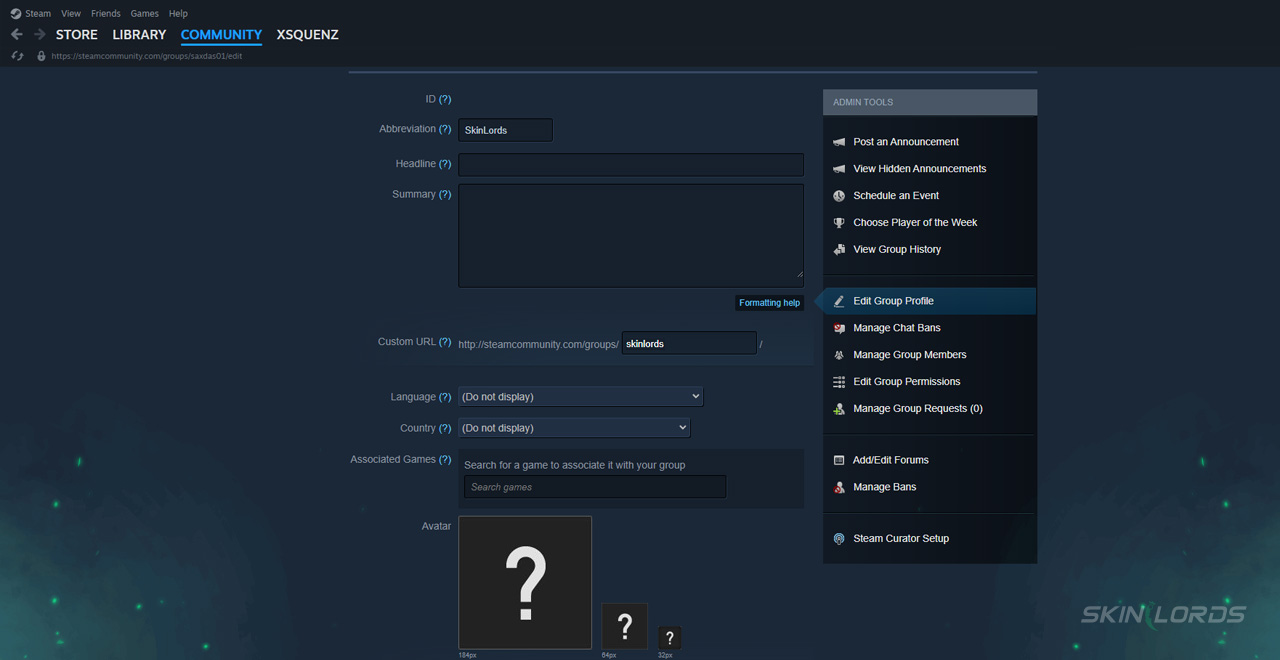 how to customize a steam group