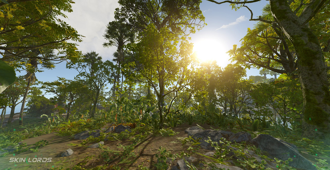 Jungle Player Spawns