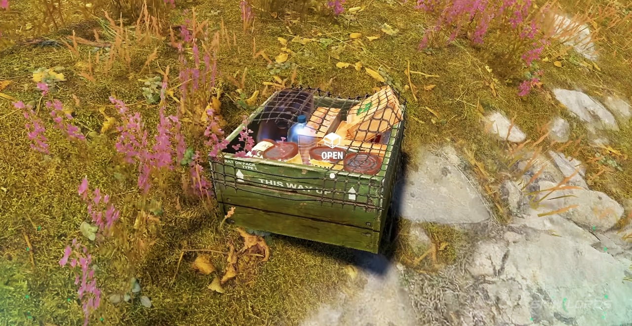 rust shore crate