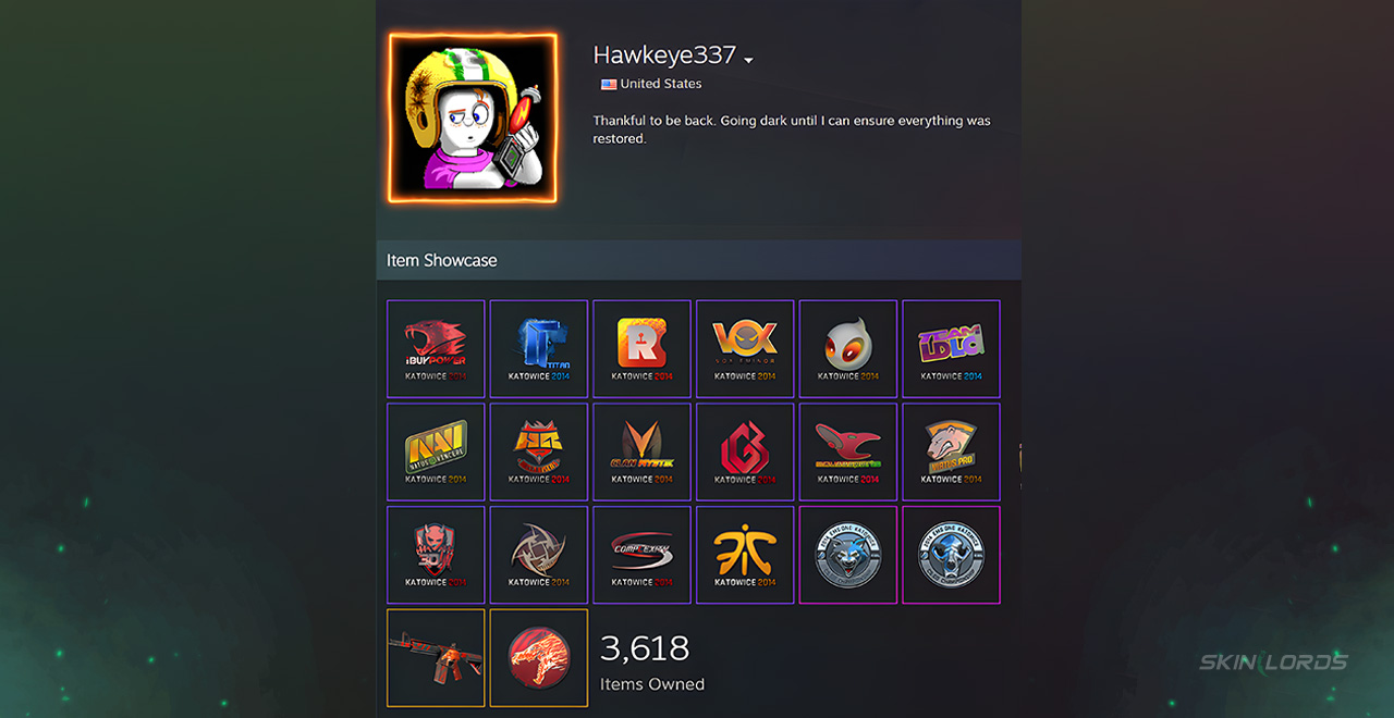 Who is Hawkeye337 cs2 katowice 2014 stickers
