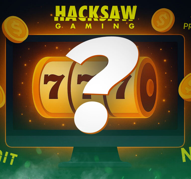 What Do Slot Providers Do?