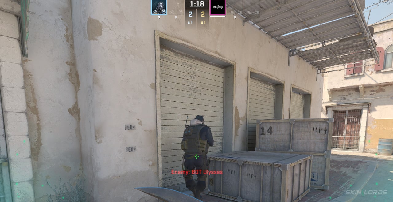 cs2 bot place command