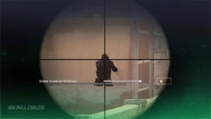 How to Turn Down or Mute Music in CS2