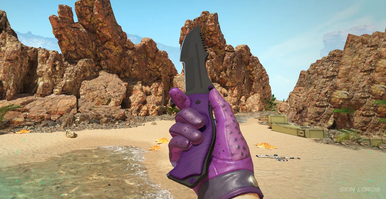 Best CS2 Knives for the Driver Gloves Plum Quill - Driver Gloves Plum Quill + Hunstman Knife Ultraviolet