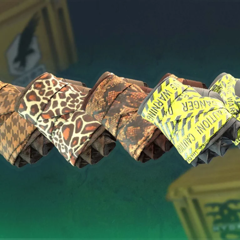 Which CS2 Cases Have Hand Wraps?