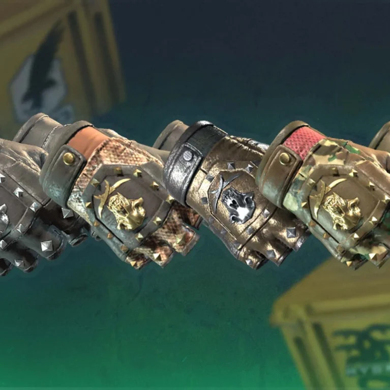 Which CS2 Cases Have Bloodhound Gloves?