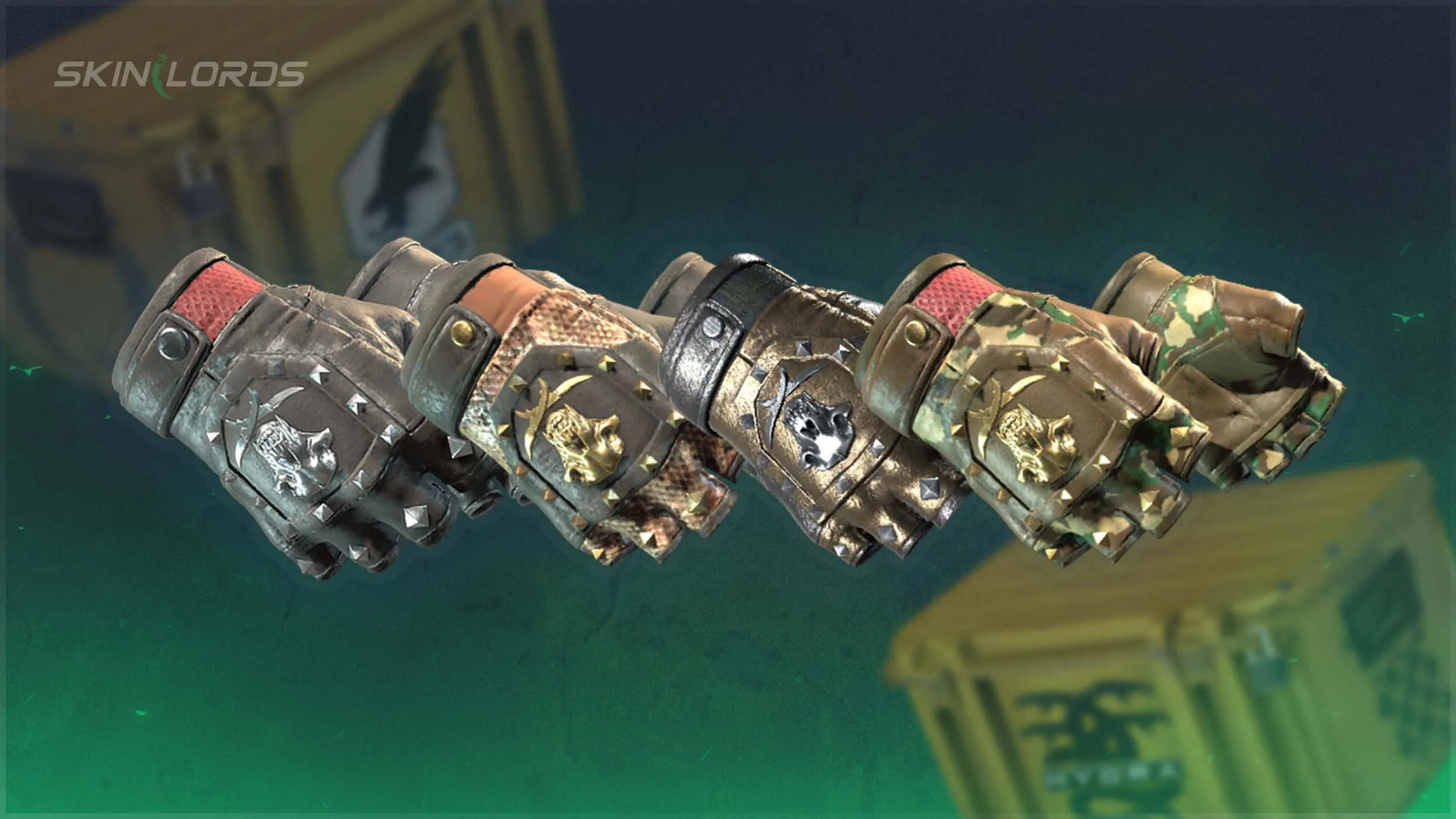 Which CS2 Cases Have Bloodhound Gloves?